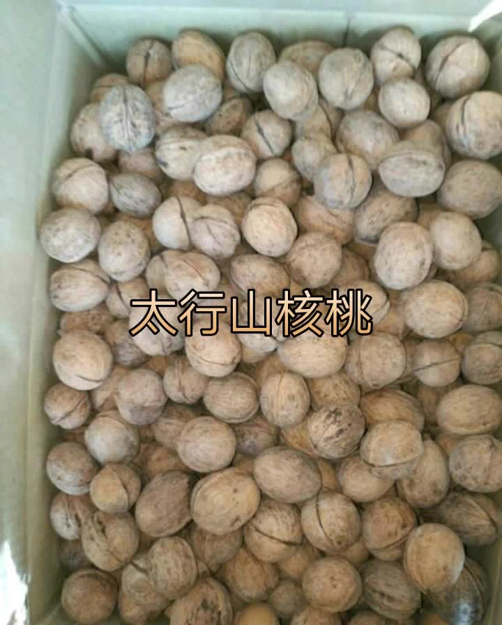 绵核桃去皮干