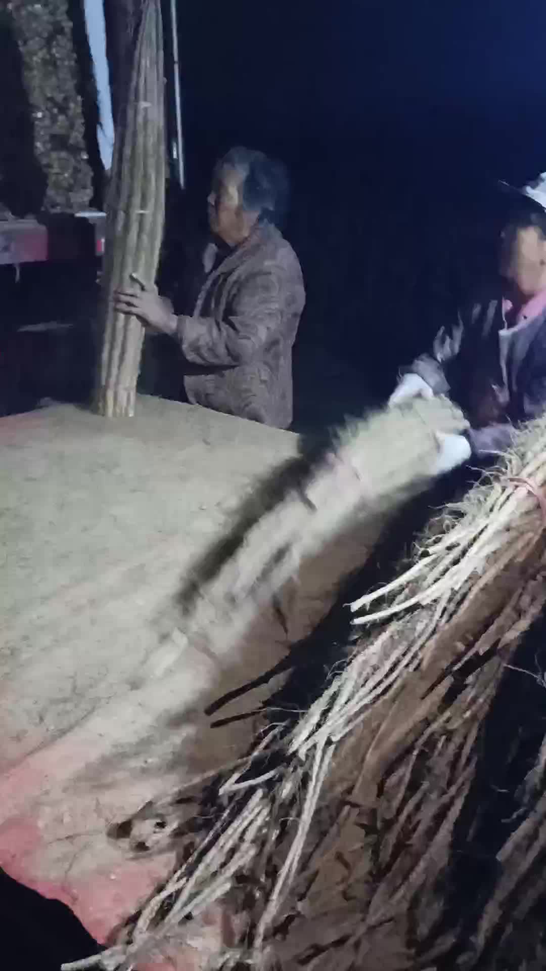 河南铁棍山药