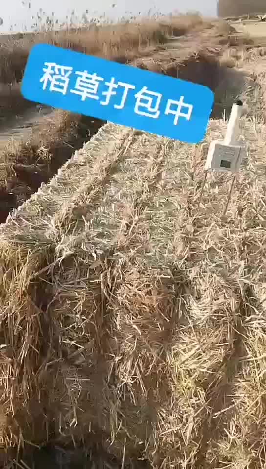 稻草：