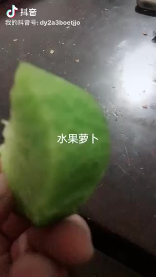 沙窝萝卜天一品种