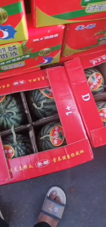 美都头茬无籽西瓜自生苗品质好质量优