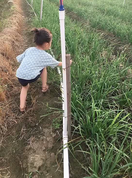 今天请了一个童工，不知道怎么算工资