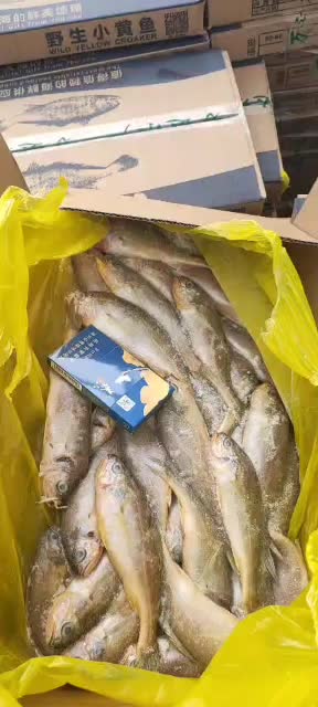 小黄花鱼新包装4斤每箱每斤10-11条价格超低