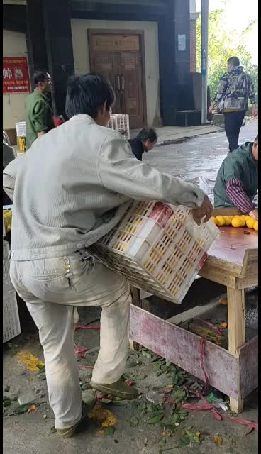 东江湖清江冰糖橙正上市中