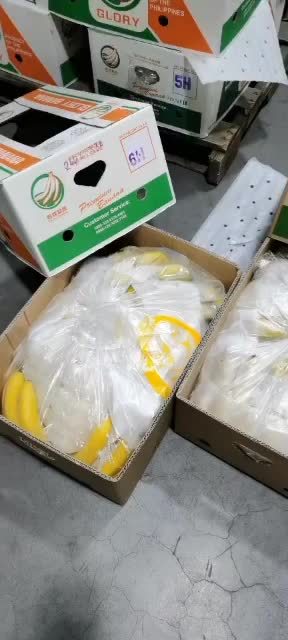 菲律宾进口香蕉精品香蕉，可视频看货，欢迎合作