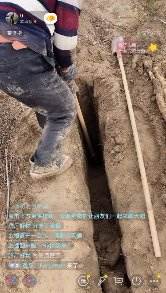 九斤黄山药现货三万斤，在地头直接装车道路交通方便价低质优