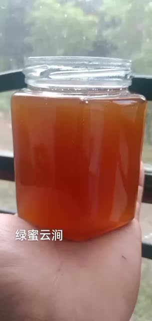 野生蜂蜜悬崖蜜大挂蜜树洞蜜