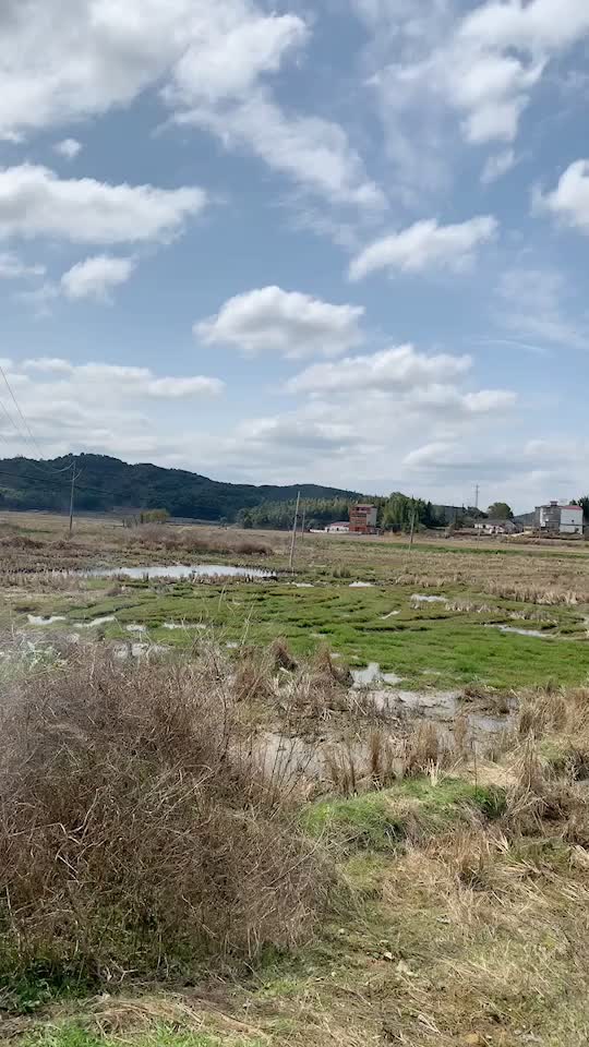 高标准优质农田鄱阳湖