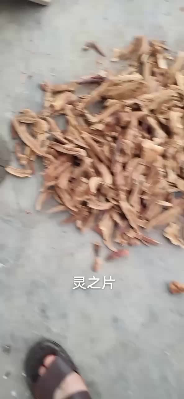 灵之片——精品椴木灵之片纯手工切片