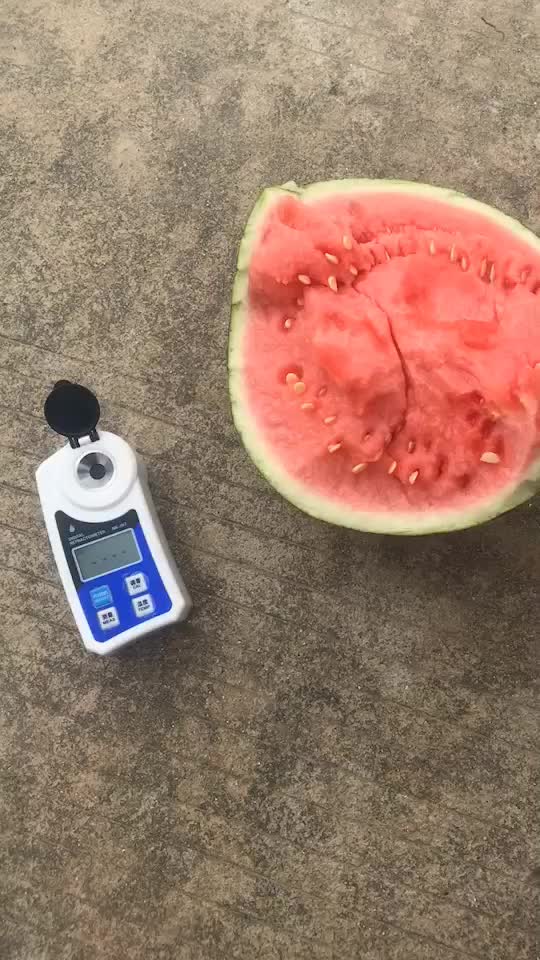 🍉精品美都，专业代办浙江台州人种的，诚信合作。