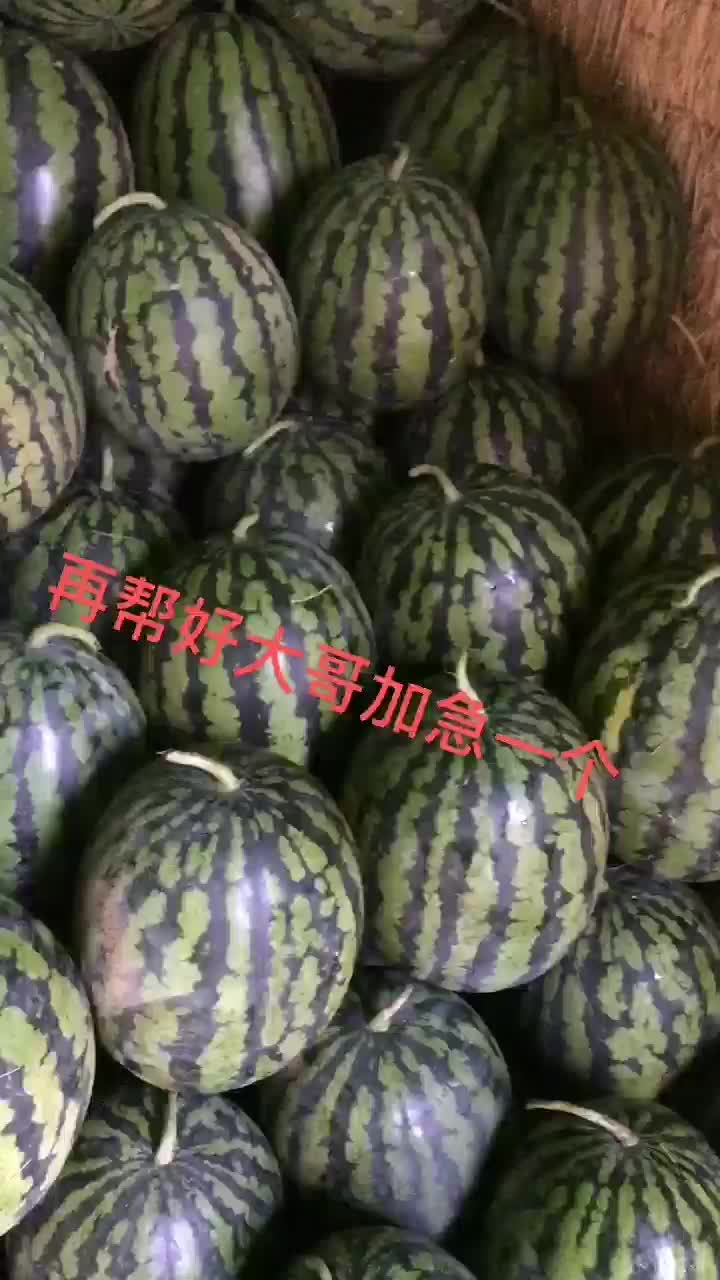 甜王系列