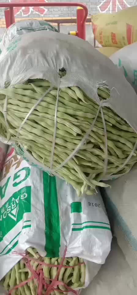 精品豆王常年代收豆角，