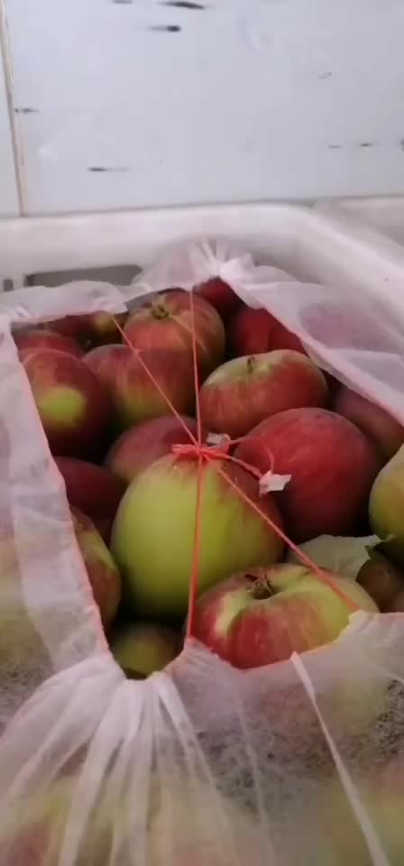 夏红苹果，产地直供果面干净口感好，希望新老朋友前来选购