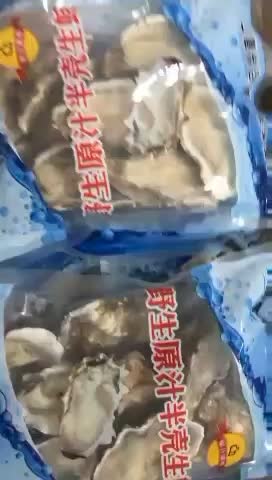 半壳生蚝一件100个看的见质量