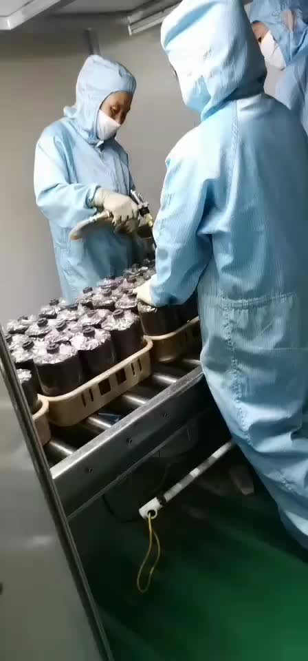 专业生产黑皮鸡枞菌包