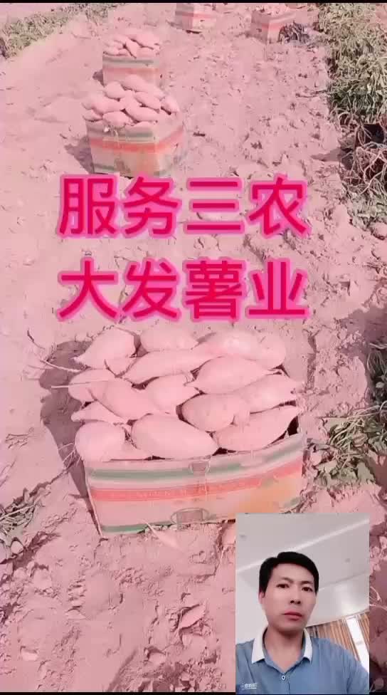 大量出售华东五省基地龙九