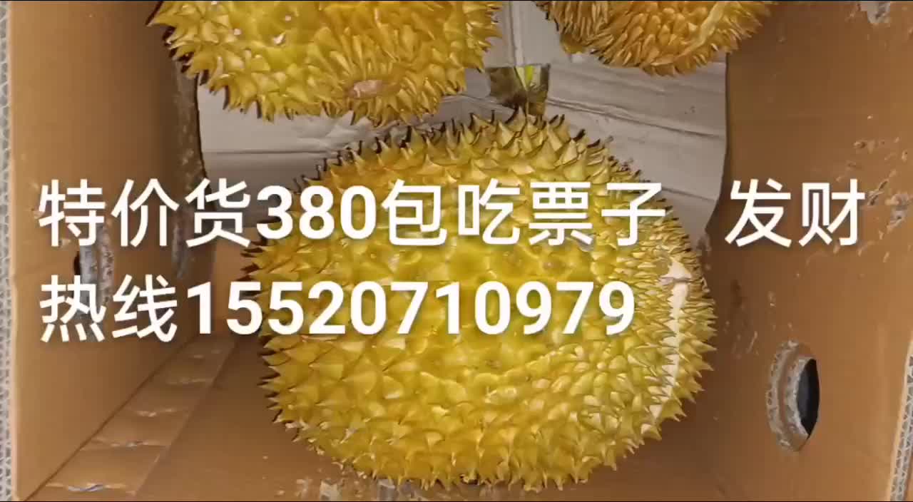 榴莲380