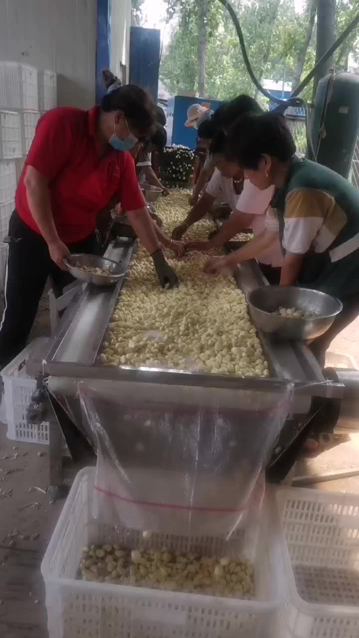 精品蒜米