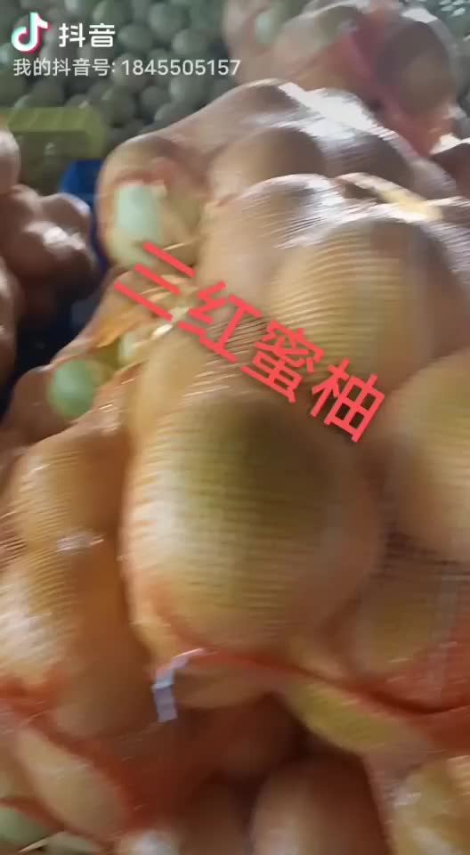 三红蜜柚