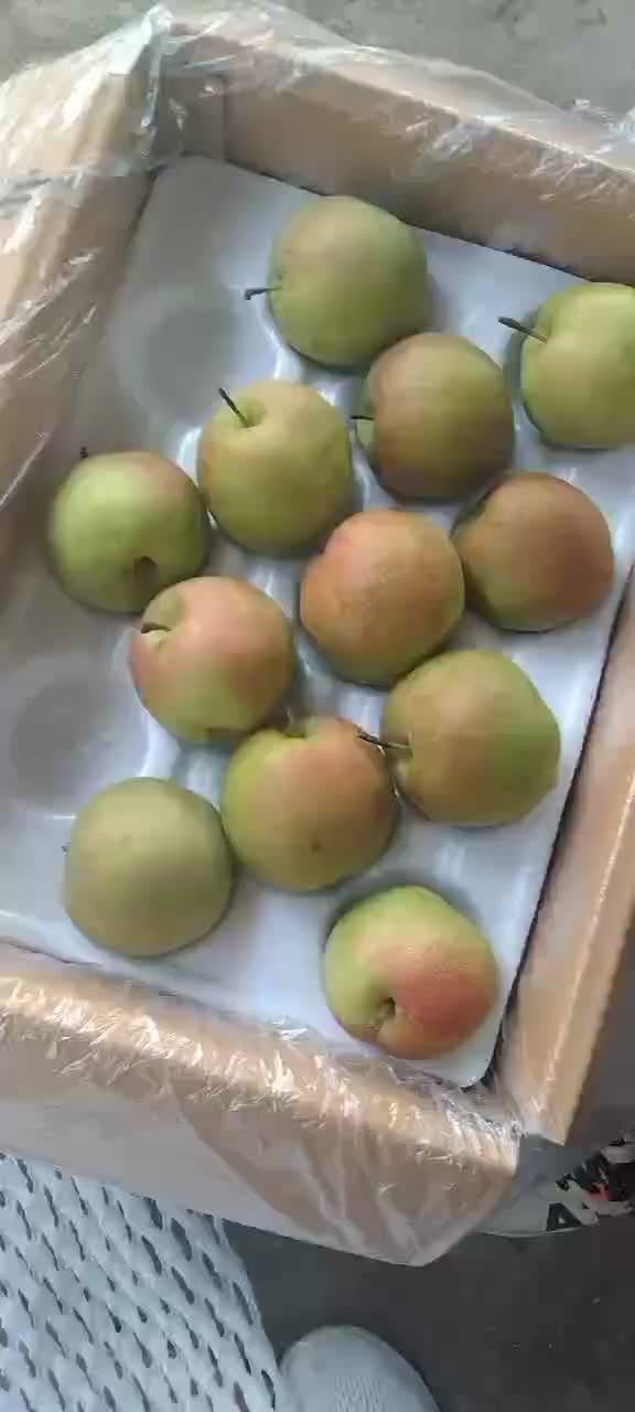 玉露香梨🍐海量货源，价格便宜，质量好，批发零售电商