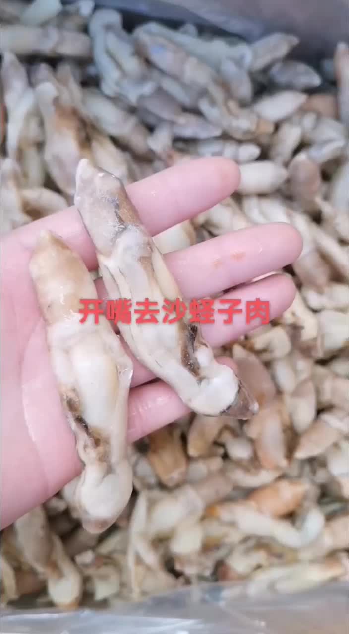 开嘴去沙蛏子肉