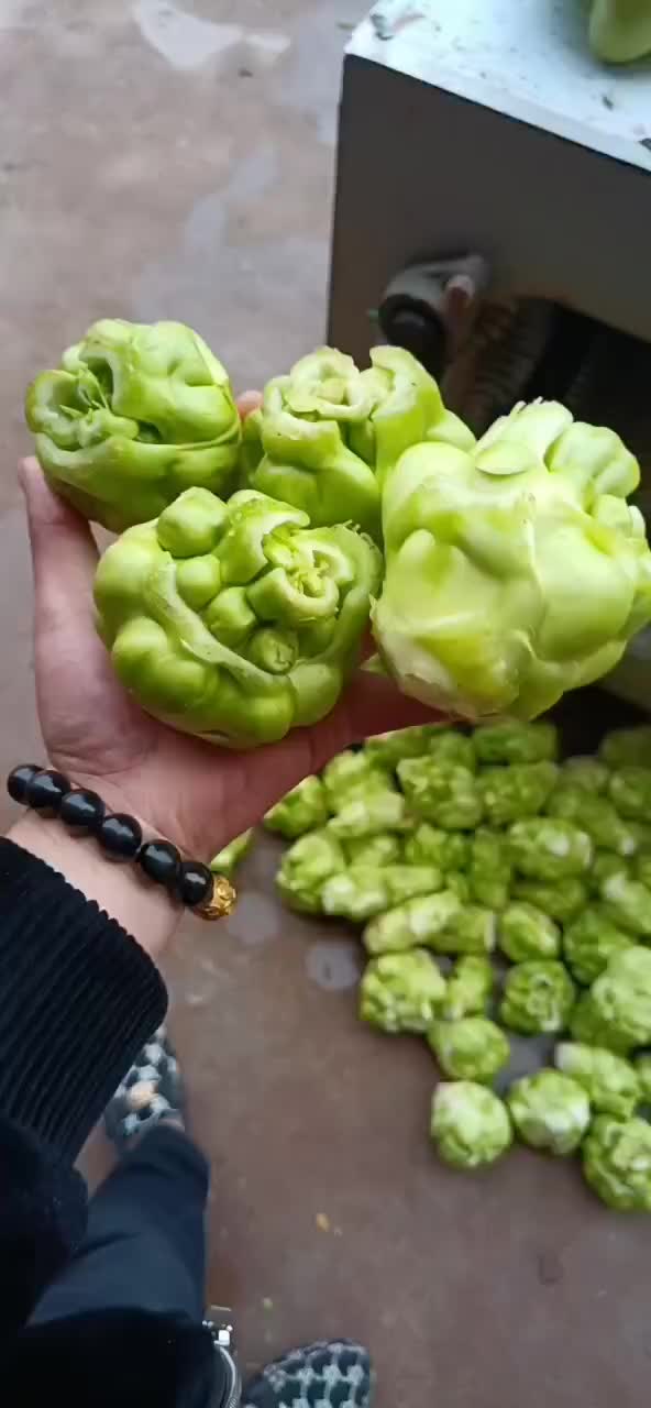 榨菜，鲜榨菜，可以走市场，可以清洗，也有腌制厂货