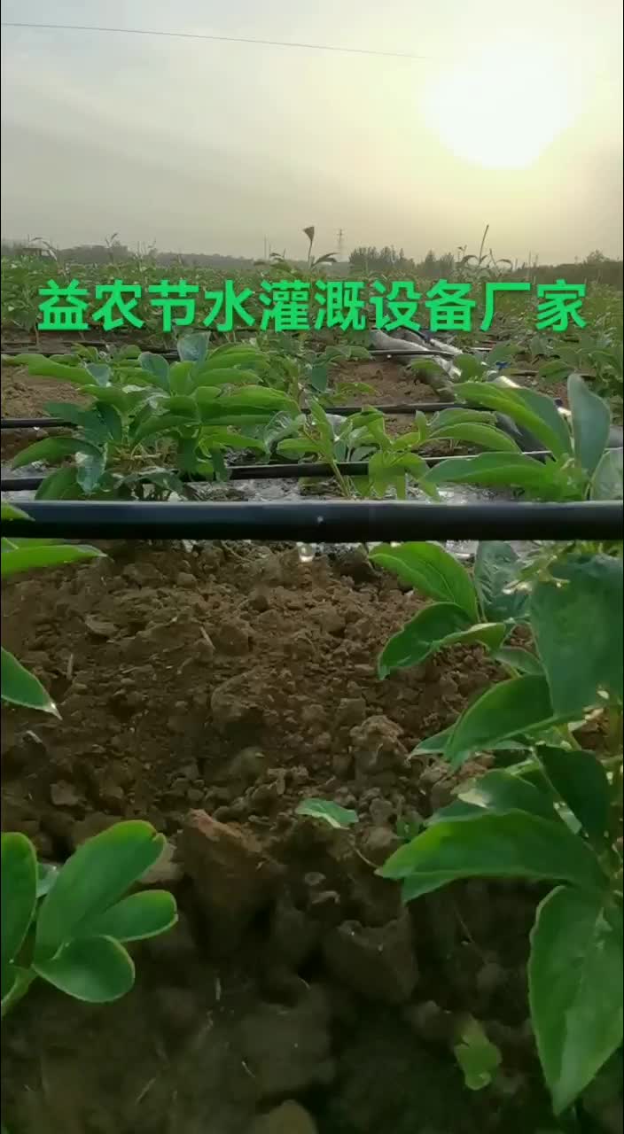 农用滴灌管农用滴灌带厂家滴水滴管膜下滴灌带农用滴灌管