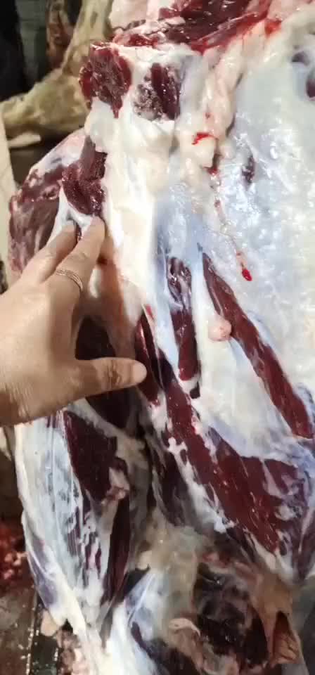 东北黄牛肉