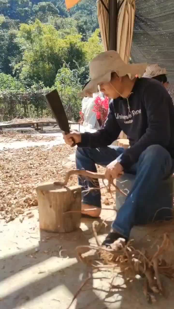 野生五指毛桃干货纯野生货煲汤料椰奶味香浓