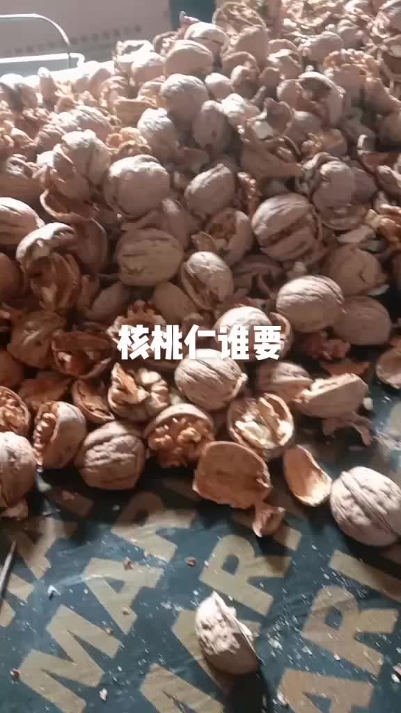 干货核桃仁，货干，油质高，渭北高源货。