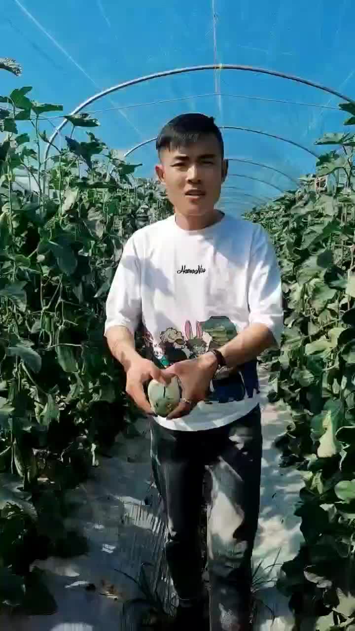 云南羊角蜜更更香更甜