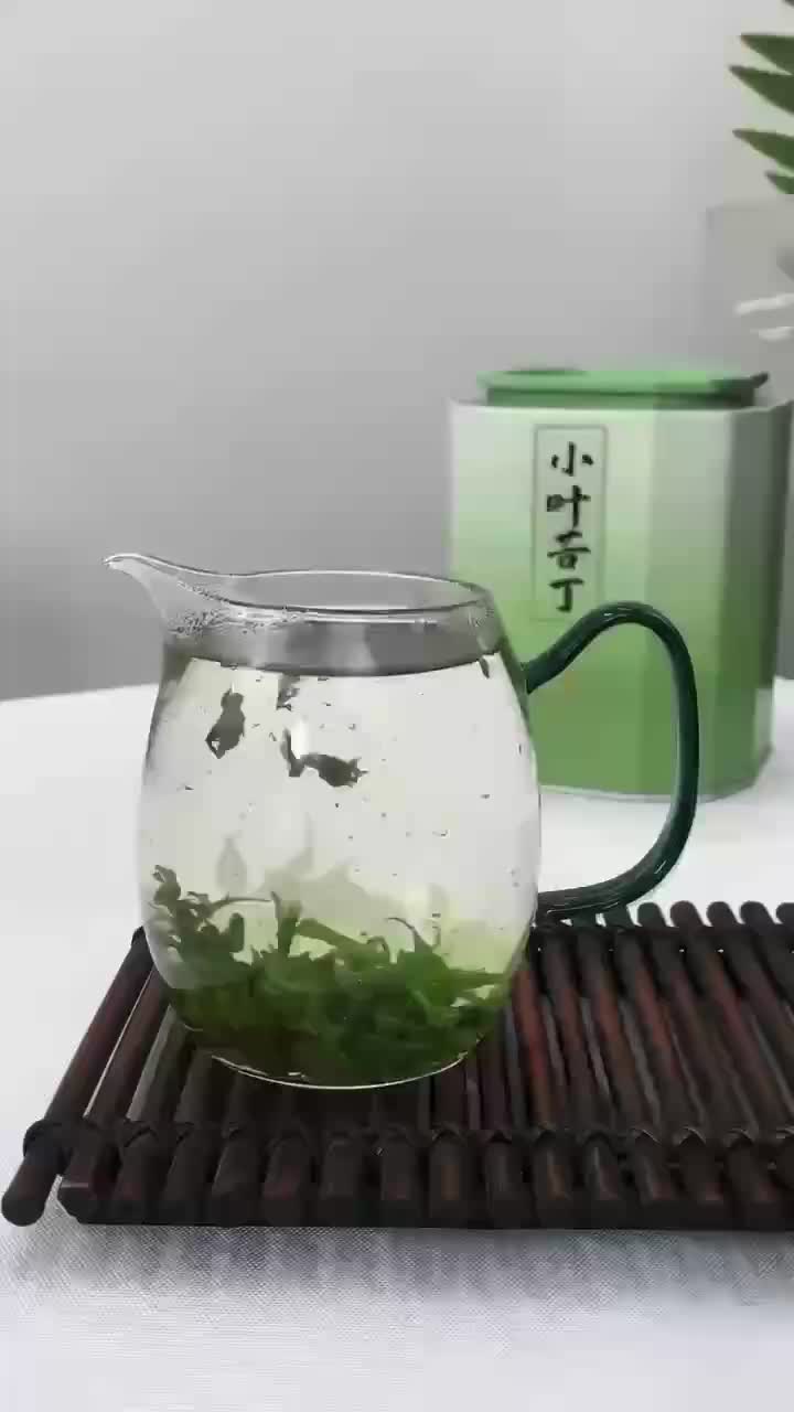 新茶小叶苦丁茶高山青山绿水500克