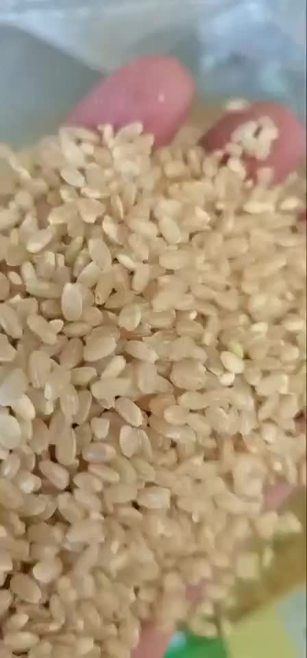 糙米，新糙米，量大从优，欢迎来电咨询。。
