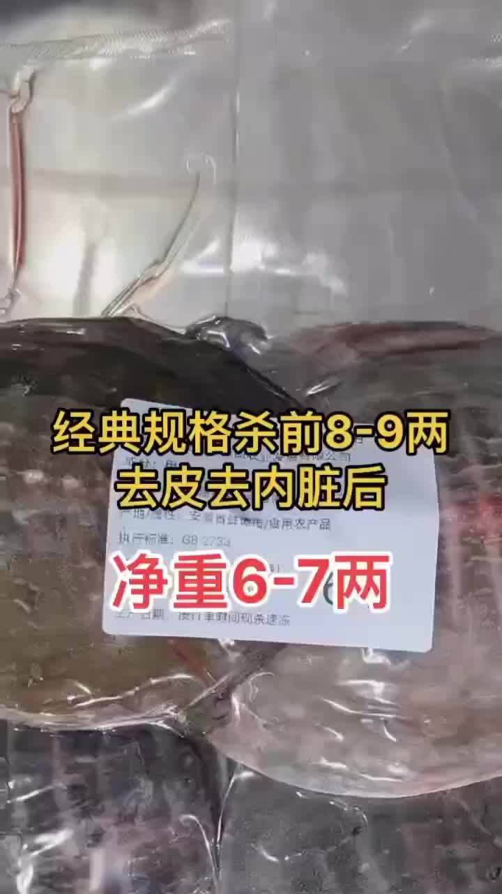 网红麻辣甲鱼批发卤甲鱼0.6到1斤规格，量大从优