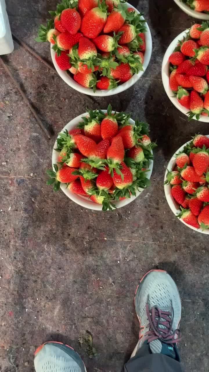 济南甜宝草莓