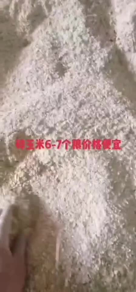 碎玉米，烘干7粮左适用于养猪牛羊鸡鸭鹅专用