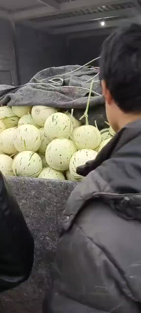 莘县速鲜达瓜果蔬菜种植专业合作社