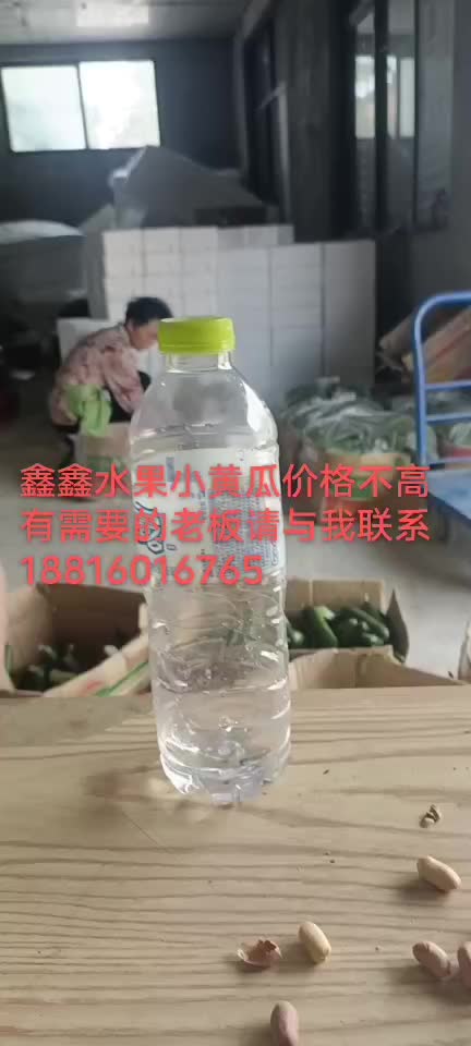 水果小黄瓜