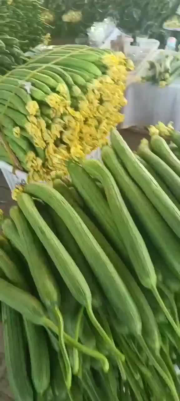 鲜花丝瓜