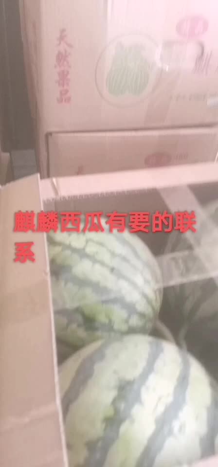 皮薄脆甜麒麟美都