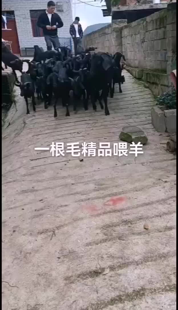 好货不等人，老板些别犹豫