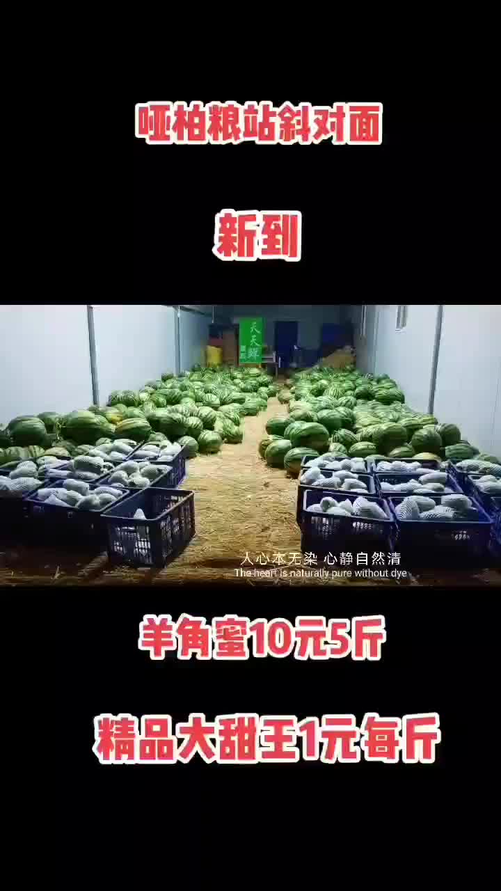 批发甜王西瓜