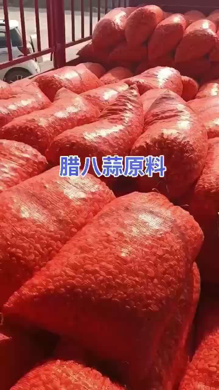 腊八蒜蒜米！包绿！