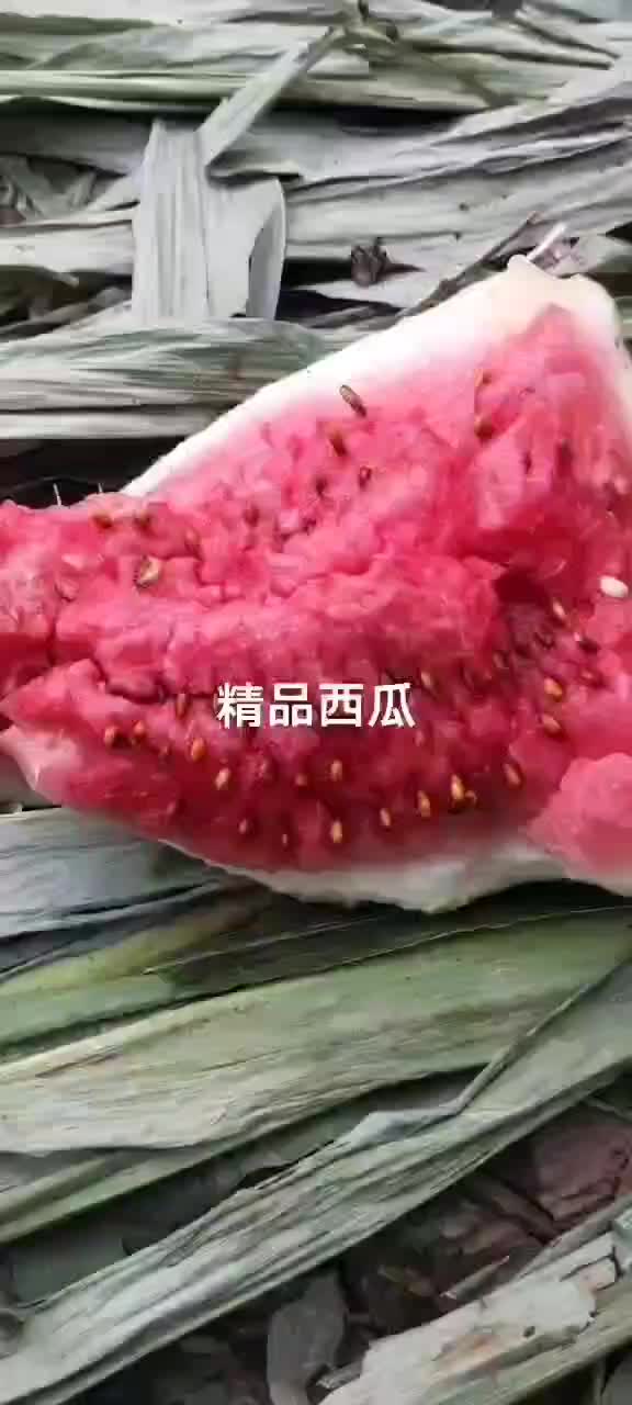 保熟口感好