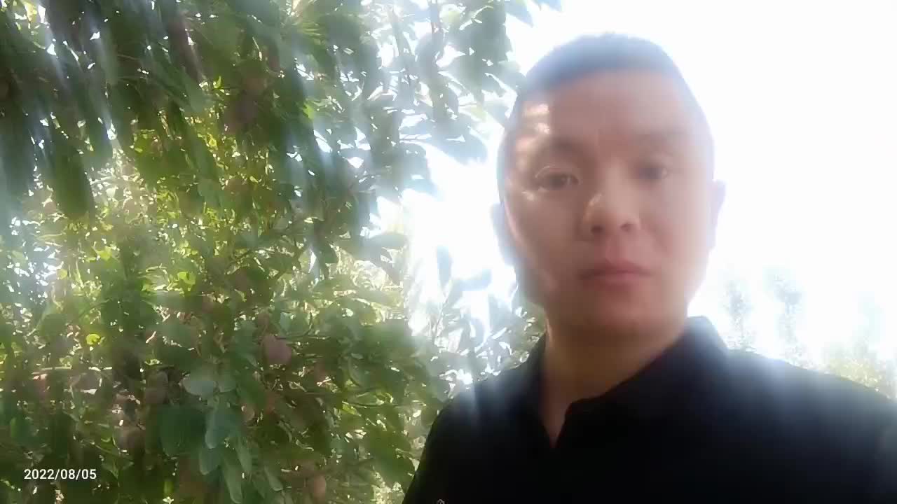 新疆法兰西，西梅品质保证，货源充足，支持一件代发，整车