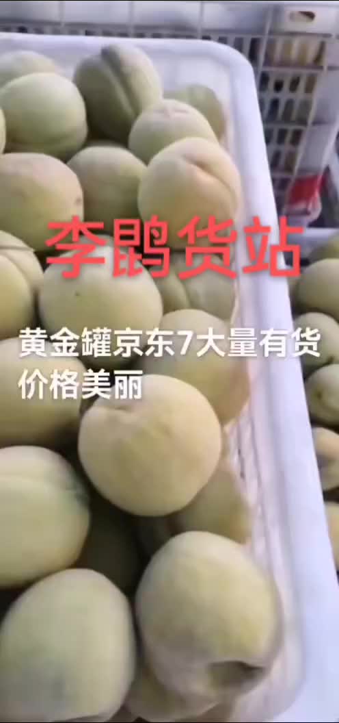 罐头桃