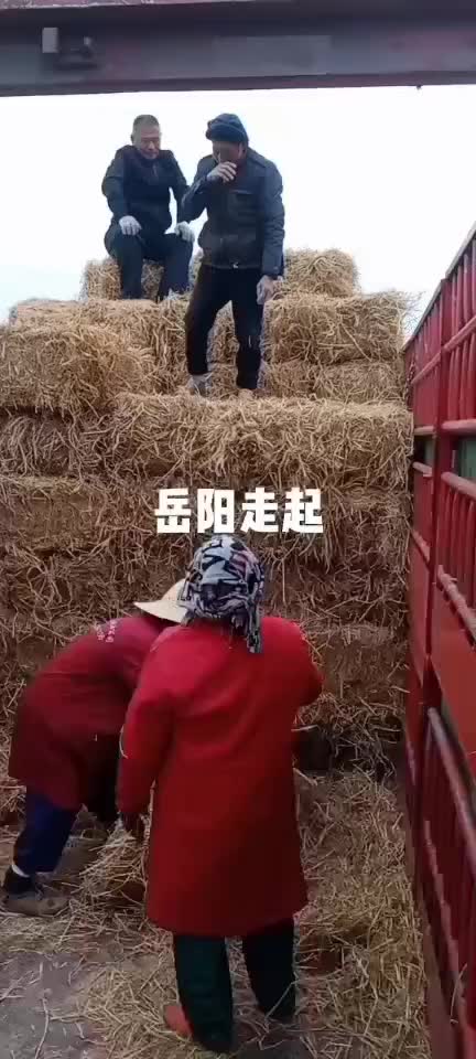 华沐草业合作社稻草饲料