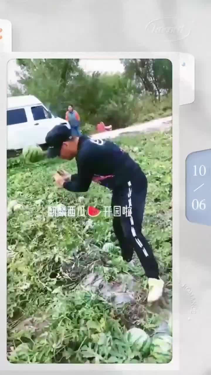 麒麟西瓜开园啦口感好量不多需要联系