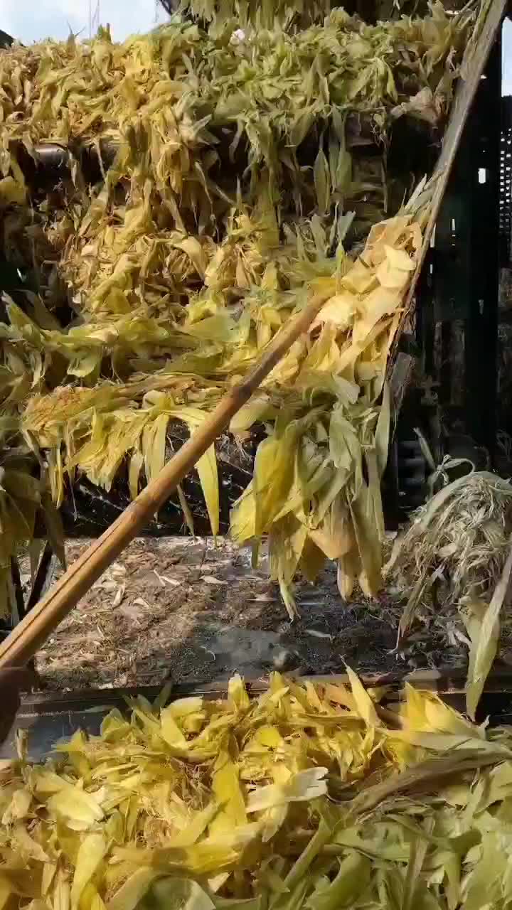 玉米皮