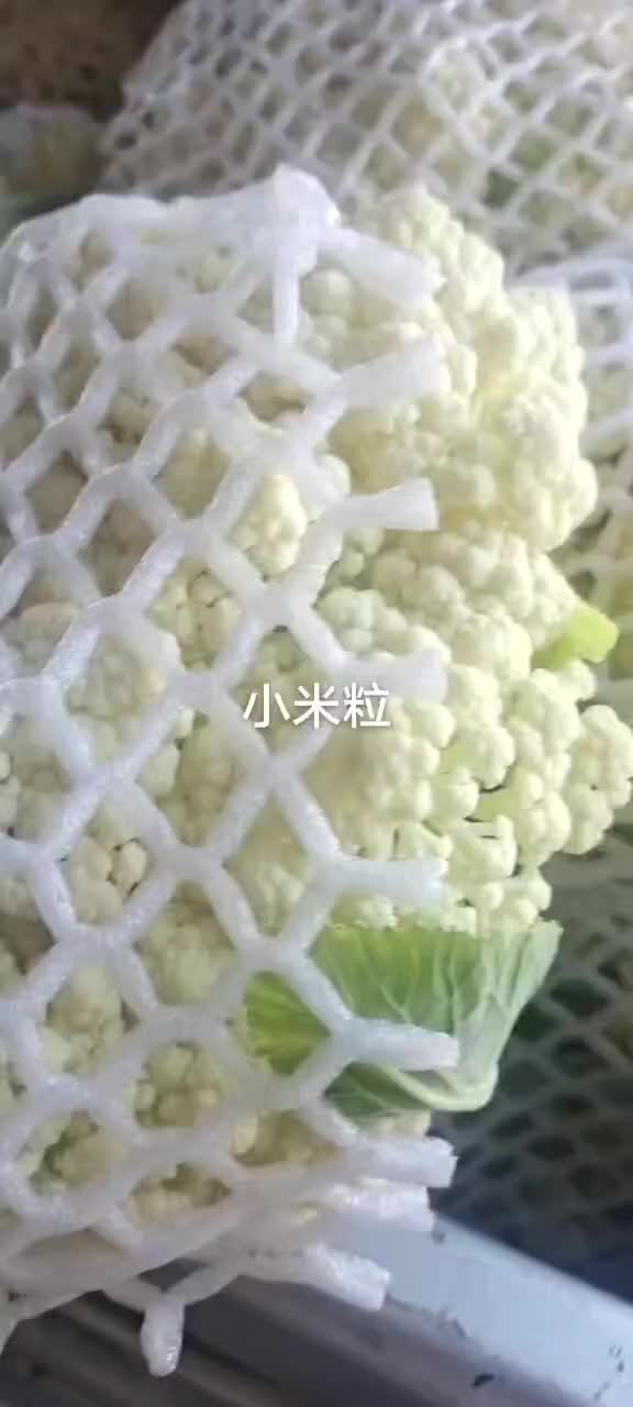 青梗散花